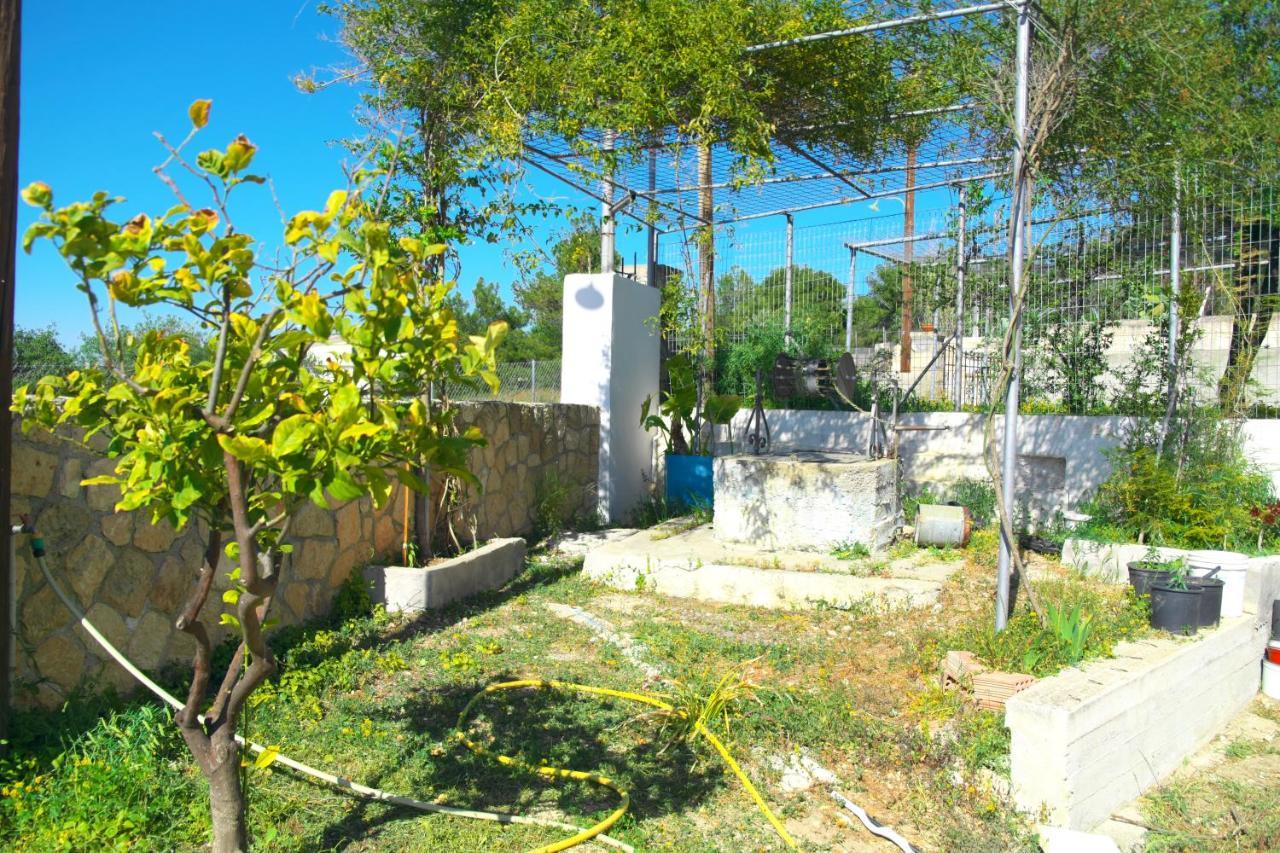 Georgia'S House Villa Aegina Exterior photo
